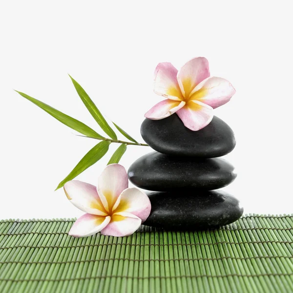 Frangipani and Balanced Zen stones — Stock Photo, Image