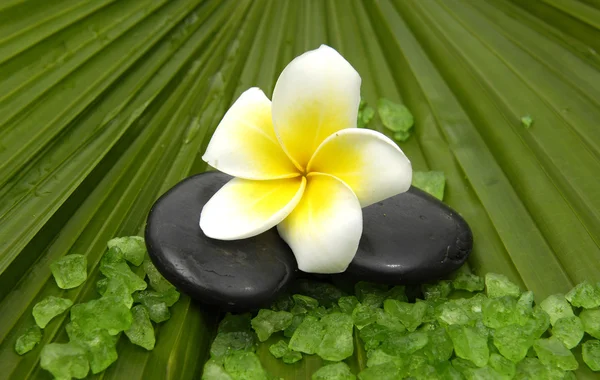 Frangipanis and zen stones — Stock Photo, Image