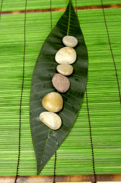 Stones with big leaf — Stock Photo, Image