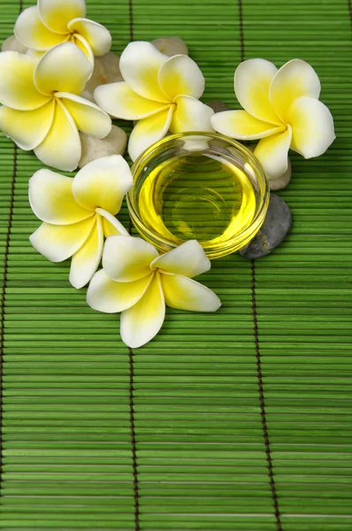 Frangipani flower — Stock Photo, Image