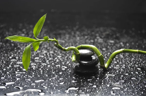 Zen still life — Stock Photo, Image