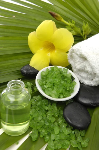 Spa still life — Stock Photo, Image