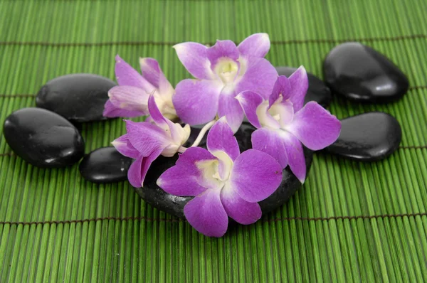 Beautiful orchid with stones on green mat — Stock Photo, Image