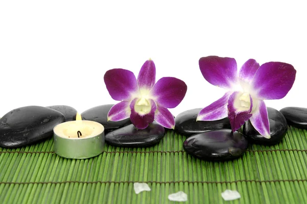 Beautiful orchid with stones on green mat — Stock Photo, Image