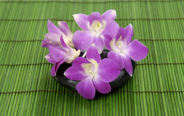 Mooie orchid met stenen op groene mat — Stockfoto