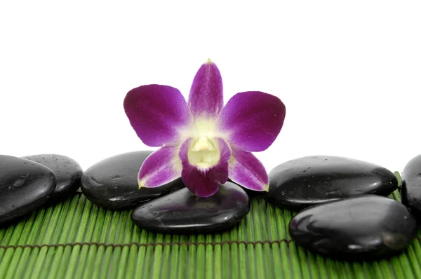 Orchid with stones on green mat — Stock Photo, Image