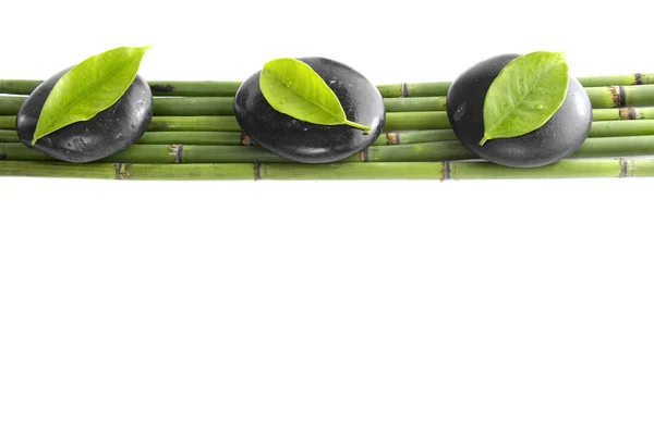 Pierres à feuilles fraîches sur bambou — Photo