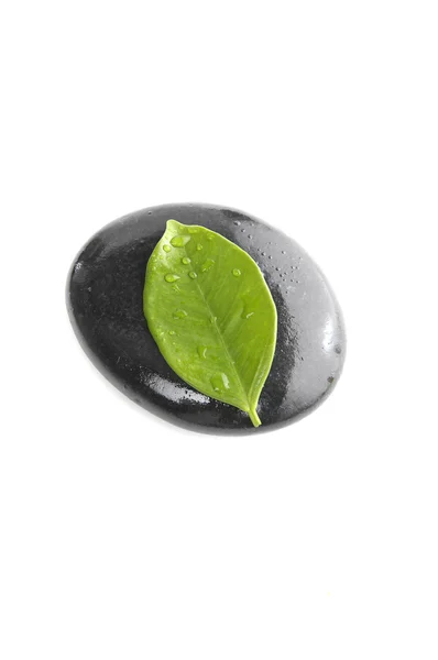 Hoja fresca con piedra zen — Foto de Stock