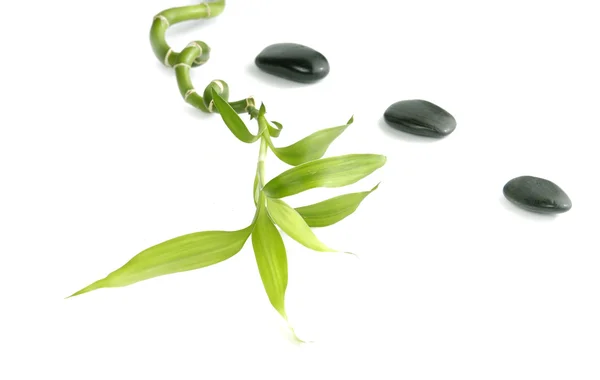 Fresh leaf with zen stone — Stock Photo, Image