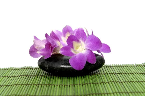 Orchid met stenen op groene mat — Stockfoto