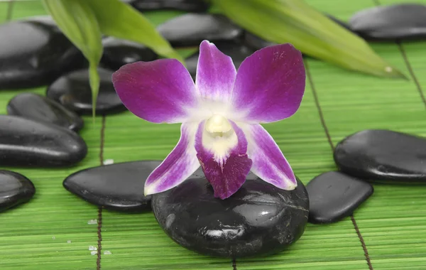 Orchid with stones on green mat — Stock Photo, Image