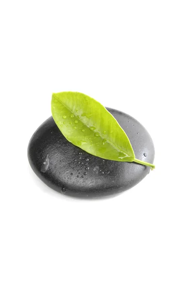 Black stones and green leaves — Stock Photo, Image