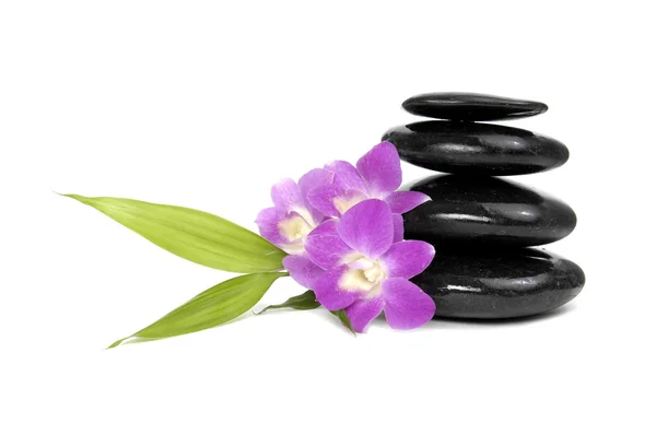 Stacked stones and pink orchid — Stock Photo, Image