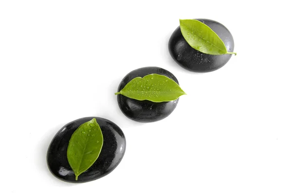 Black stones and green leaves — Stock Photo, Image