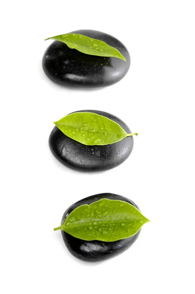 Schwarze Steine und grüne Blätter — Stockfoto