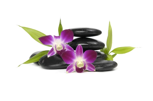 Spa concept- stones and pink orchid — Stock Photo, Image