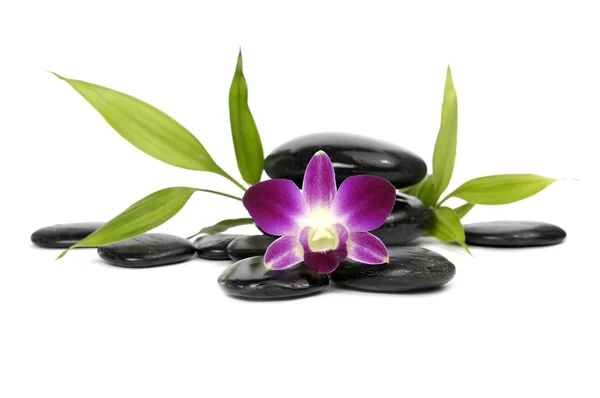 Wellness-Konzept - Steine und rosa Orchidee — Stockfoto