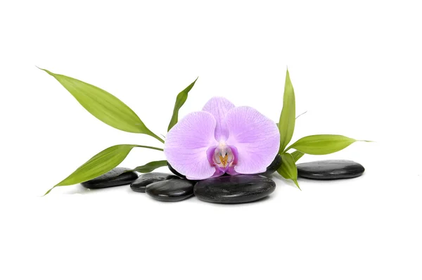 Concepto de spa: piedras y orquídea rosa —  Fotos de Stock