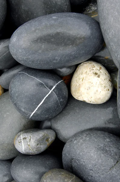 Piedras de guijarro — Foto de Stock