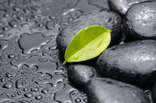 Stilleven met steen met blad — Stockfoto