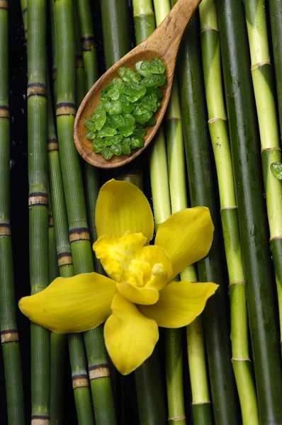 Kurbehandlung und Aromatherapie — Stockfoto