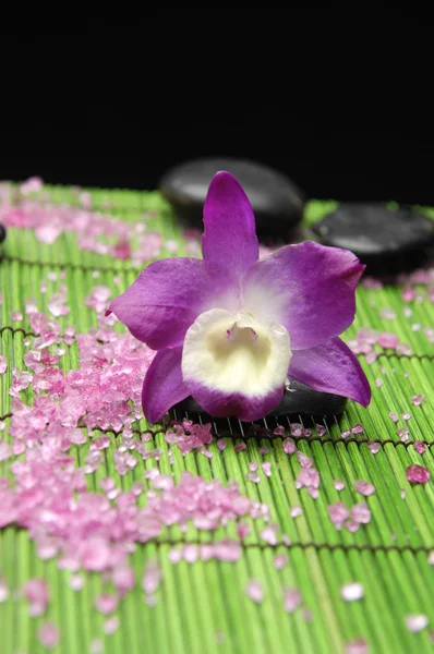 Spa zittend met orchidee en stenen — Stockfoto
