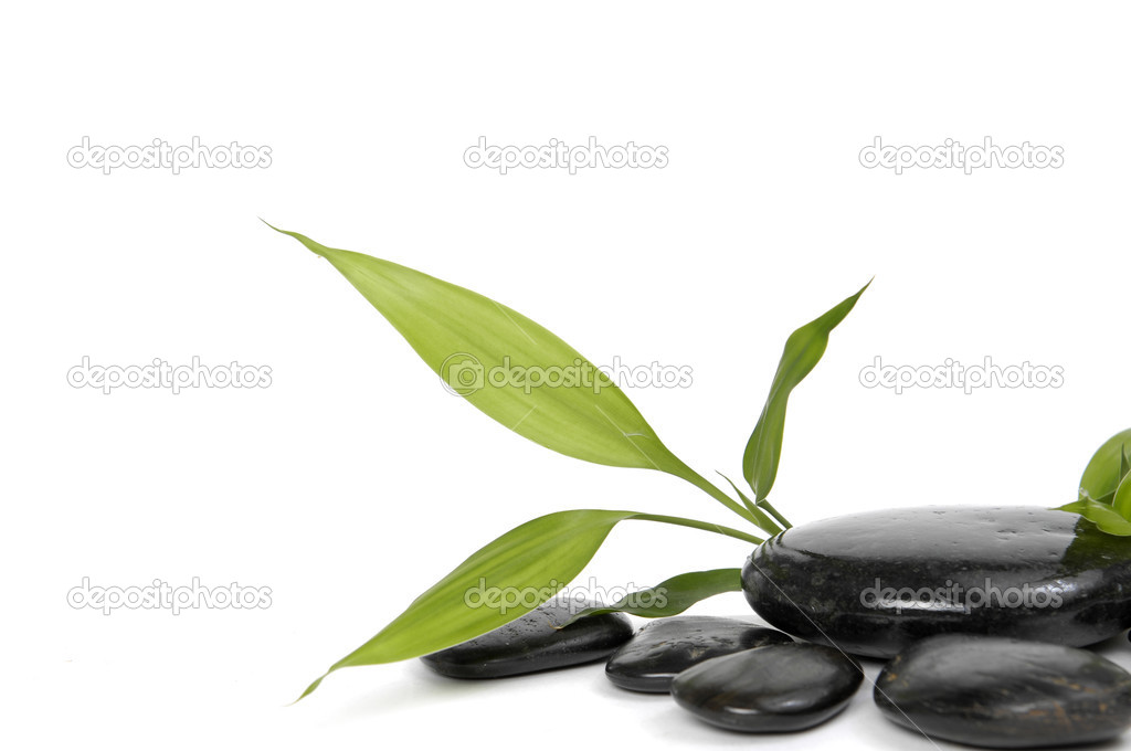 Zen stones and bamboo leaves