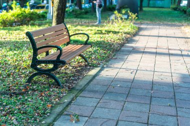 Park, Park, bir sandalye rahatlatıcı, Dunhua Road, Taipei Banyan ağaçları. duygu sakin
