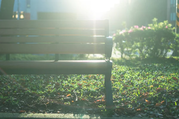 公園の椅子リラックス 敦化南路 台北市のガジュマルの木 穏やかな気持ち — ストック写真