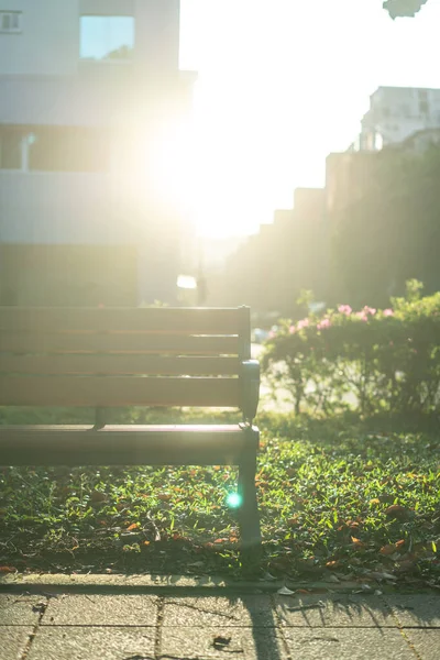 公園の椅子リラックス 敦化南路 台北市のガジュマルの木 穏やかな気持ち — ストック写真