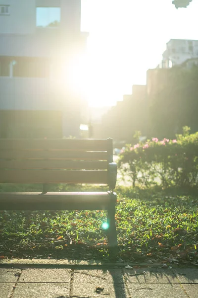 Parc Une Chaise Dans Parc Détente Arbres Banyan Sur Dunhua — Photo