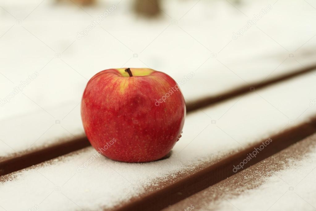 Red apple on a bench in winter