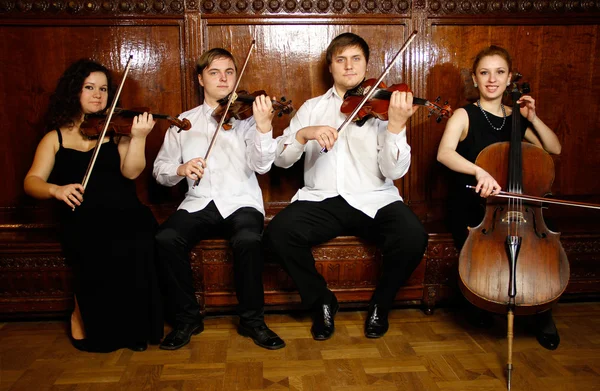 Cuarteto de cuerda — Foto de Stock