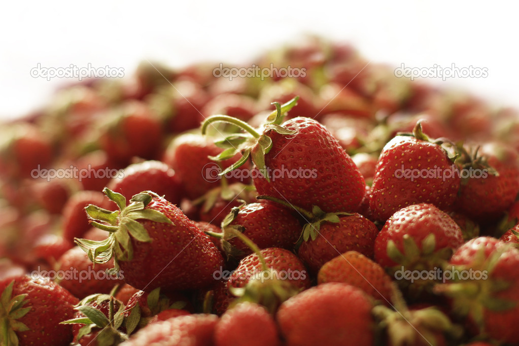A lot of fresh strawberries