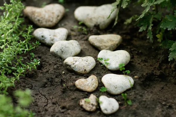 Deniz taş kalp şeklinde