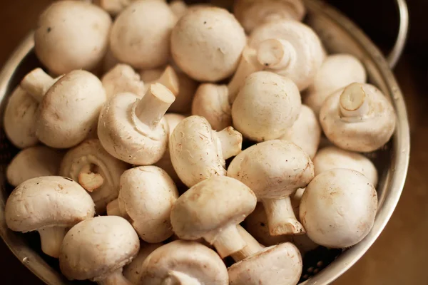 Fresh white champignons in colander — Stock Photo, Image