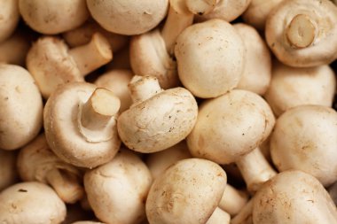 Beyaz petrol dolu çerçeve arka plan