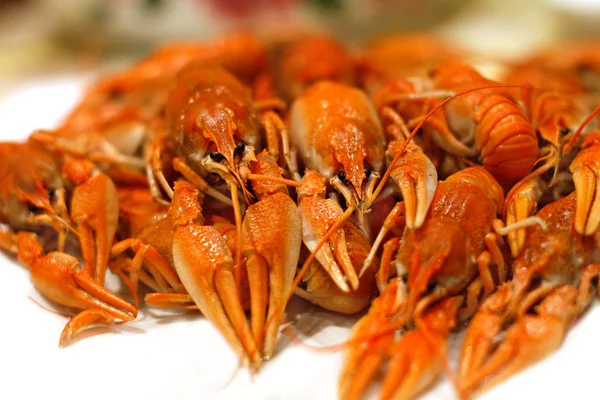 Fresh boiled crawfish — Stock Photo, Image