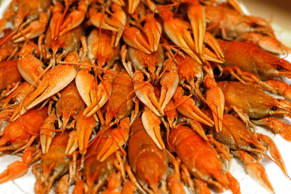 Fresh boiled crawfish — Stock Photo, Image