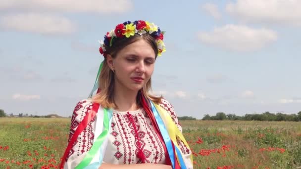 一个身穿民族服装 头戴花环的乌克兰少女的画像 背景是长着罂粟和蓝天的田野 乌克兰族服装 爱国主题 Resolution — 图库视频影像