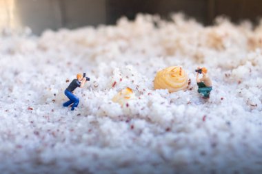 Minyatür insanlar: Sazan kurtçuğu larvalarını alan fotoğrafçı