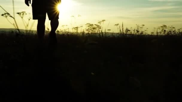 석양을 배경으로 풀 위를 걷고 있는 반바지를 입고 있는 만목의 실루엣 — 비디오
