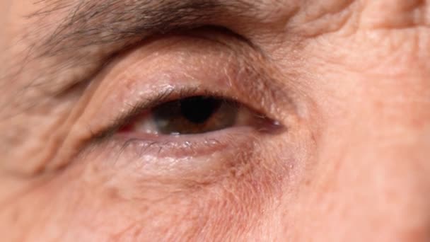Närbild öga av en äldre man med en brun Cornea Blinks — Stockvideo