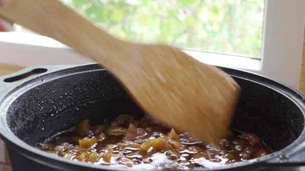 Aduk minumannya. Rebus selai buah dalam panci. Pelestarian buah. Potongan buah direbus dalam sirup — Stok Video