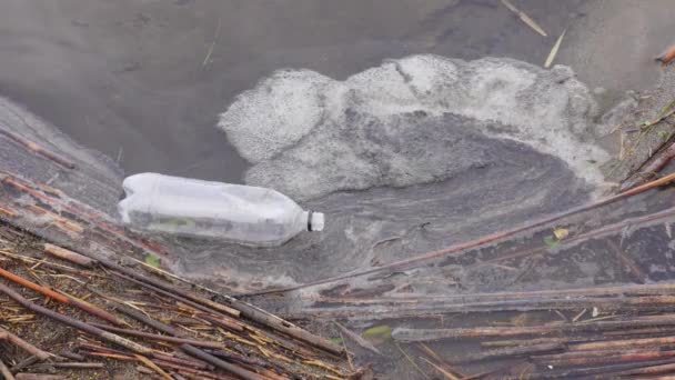 Plastflaskor förorenar en naturlig vattenförekomst — Stockvideo