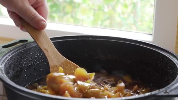 Remuez le brassage. Faire bouillir la confiture de fruits dans une casserole. Conservation des fruits. Des morceaux de fruits sont bouillis dans du sirop — Video