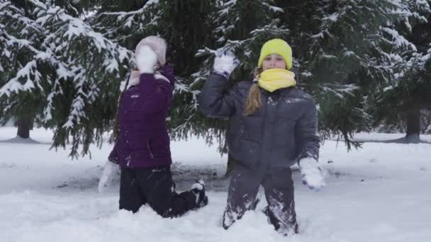 Δύο έφηβα κορίτσια γονατίζουν στο χιόνι και διασκεδάζουν πετώντας χιονόμπαλες. Χειμερινή διασκέδαση — Αρχείο Βίντεο