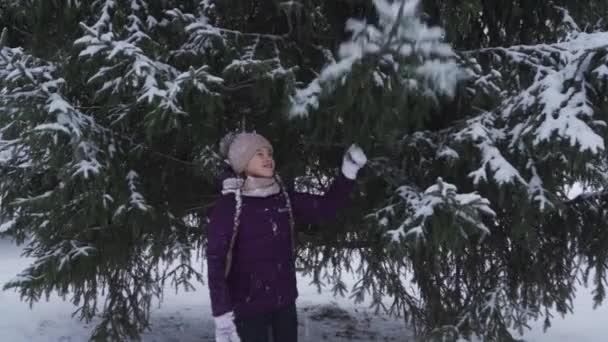 Une adolescente heureuse secoue la neige d'un sapin couvert de neige — Video