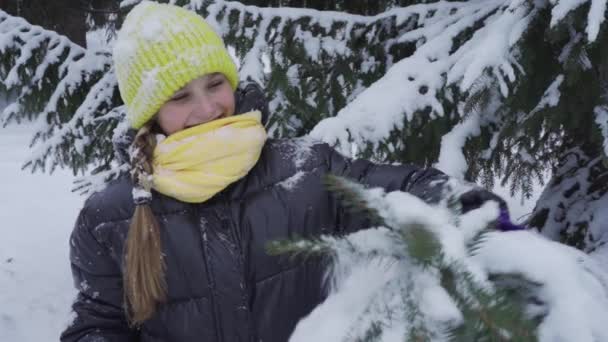 Mutlu bir genç kız, karla kaplı bir köknar ağacının karını silkeliyor. — Stok video