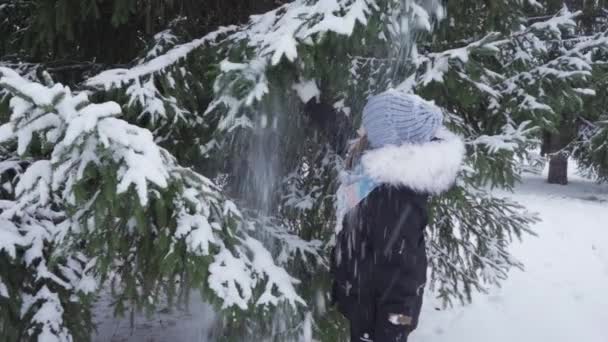 Šťastná dospívající dívka se otřese ze sněhu sněhem pokryté jedle — Stock video